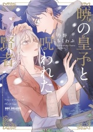 暁の皇子と呪われた賢者 のカバー